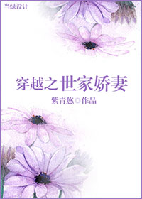 紫青悠小说《穿越之世家娇妻》